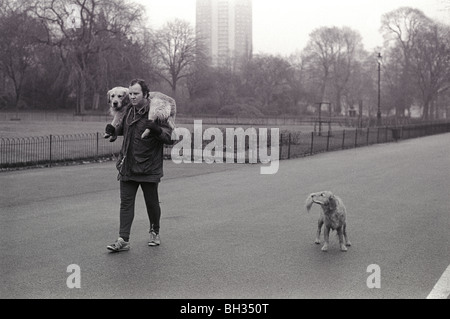 Camminare il cane 1970s UK Man camminare con il cane Hyde Park Londra, portare un vecchio cane sulle spalle, il cane ha problemi di mobilità. 1979 Inghilterra HOMER SYKES Foto Stock