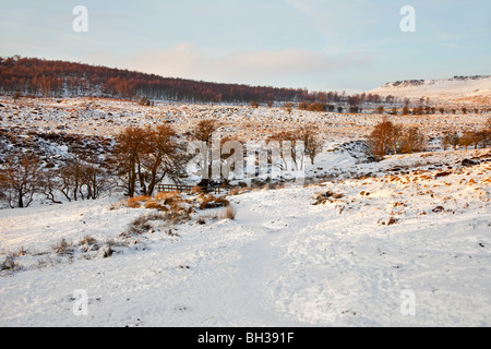 Burbage Brook in inverno Grindleford Derbyshire England Regno Unito Foto Stock