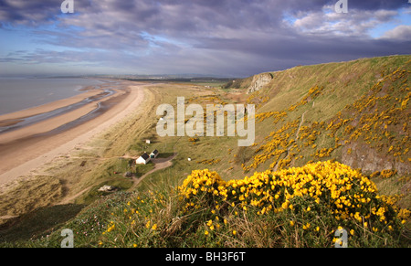 San Ciro Riserva Naturale Nazionale nella luce del mattino. Montrose, Scozia Foto Stock