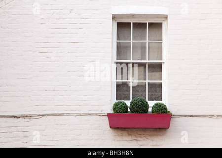 Semplice finestra rossa con copertura sotto le finestre a doppia sporgenza e parete bianca. Arundel, West Sussex, Regno Unito Foto Stock