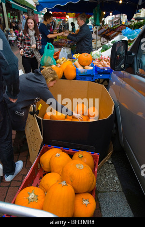 Zucche Northcote Road Wandsworth Londra Sud Inghilterra UK Europa Foto Stock