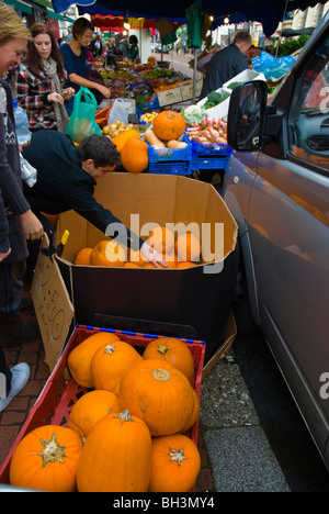 Zucche Northcote Road Wandsworth Londra Sud Inghilterra UK Europa Foto Stock