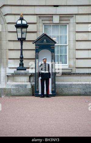 Soldato di sentinella a Buckingham Palace, London, Regno Unito. Foto Stock