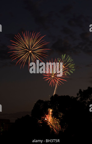 Fuochi d'artificio nel cielo per una celebrazione di notte di Capodanno. Foto Stock