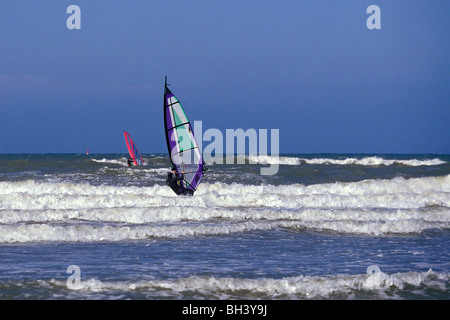 WIND SURF, Regione di Deauville, Calvados (14), in Normandia, Francia Foto Stock