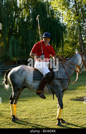 Ritratto di un giocatore di polo su un cavallo, Lujan de Cuyo, regione di Mendoza, Argentina. Foto Stock