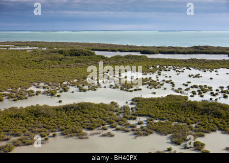 Everglades National Park è un parco nazionale in Florida. È il più grande deserto subtropicale negli Stati Uniti. Foto Stock