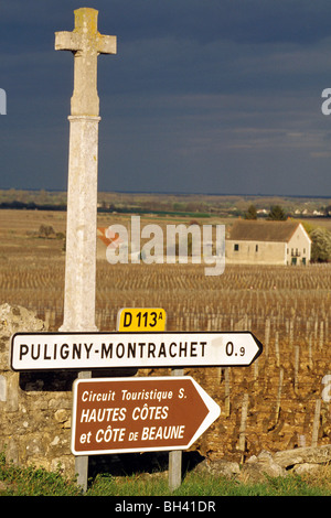 Croce sul ciglio della strada, I VIGNETI DI PULIGNY-MONTRACHET, Cote de Beaune, COTE D'OR (21), Francia Foto Stock