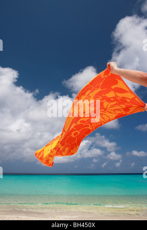 Un uomo con le mani in mano lo scuotimento di un vivacemente colorato telo mare in aria su una deserta spiaggia tropicale Foto Stock