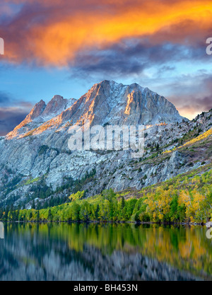 Lago d'argento riflessione con caduta pioppi neri americani colorati alberi e sunrise. In California. Il cielo è stato aggiunto. Foto Stock