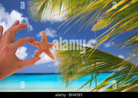 Una mano d'uomo tenendo un piccolo starfish in aria contro le palme su una deserta spiaggia tropicale Foto Stock