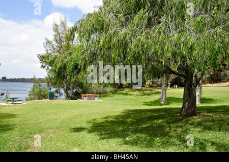 Molto ben mantenuto il parco ricreativo a Mosman bay nei pressi di Cottesloe in Western Australia. Foto Stock