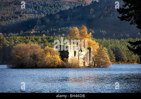 Le rovine del castello sul Loch un Eilein in autunno la luce. Foto Stock