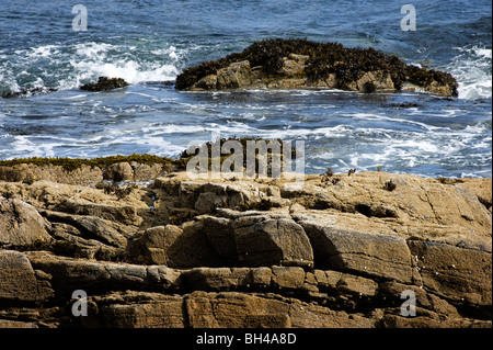 Le rocce su Clashnessie Bay, vicino Stoer, Sutherland, Scotland, Regno Unito Foto Stock