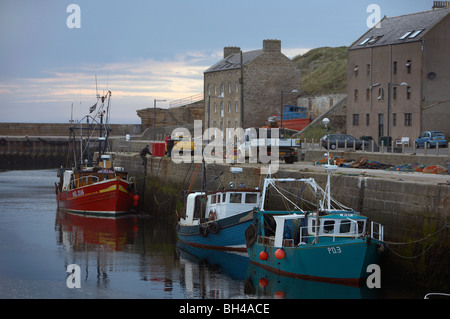 Barche da pesca nel porto di Burghead. Foto Stock