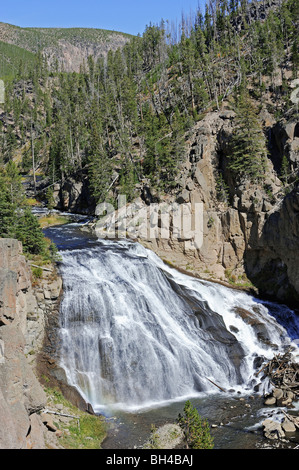 Cascate del Gibbon Foto Stock