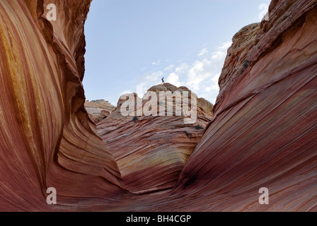 Un giovane uomo cammina sulla parte superiore della forma d'onda situato in Vermillion Cliffs, Utah. Foto Stock