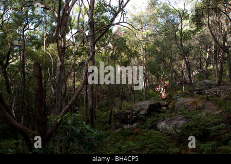 Una sperimentazione pilota salta un ampio divario a Toohey foresta, Brisbane, Queensland, Australia. Foto Stock