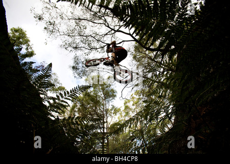 Una sperimentazione pilota salta un ampio divario a Toohey foresta, Brisbane, Queensland, Australia. Foto Stock