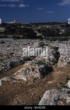 Solchi di carri nei pressi di Dingli, Malta Foto Stock