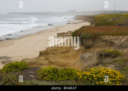 Pigeon Point Light house, CALIFORNIA, STATI UNITI D'AMERICA Foto Stock