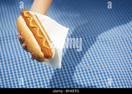 Mano che tiene un hotdog sopra una coperta picnic Foto Stock