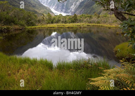Vista dalla piscina Peters del Ghiacciaio Franz Josef e la foresta pluviale, Westland Tai Poutini National Park. Foto Stock