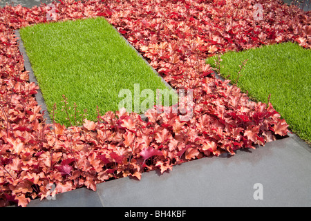 RHS Chelsea Flower Show 2009 heuchera peach flambe erba sponsorizzato da PSI vivaio flora argento medaglia per Urban garden Foto Stock