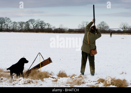 Gunner con il cane durante il fagiano shoot. Poco Dalby station wagon. Leicestershire. Regno Unito. Foto Stock