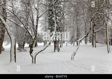 Neve invernale scena di Priory Park Reigate, Surrey, inverno del 2010 Foto Stock