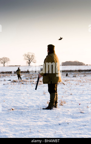 Fagiano shoot. Poco Dalby station wagon. Leicestershire. Regno Unito. Foto Stock