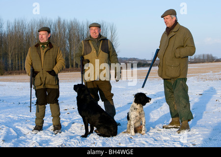 Fagiano shoot. Poco Dalby station wagon. Leicestershire. Regno Unito. Foto Stock