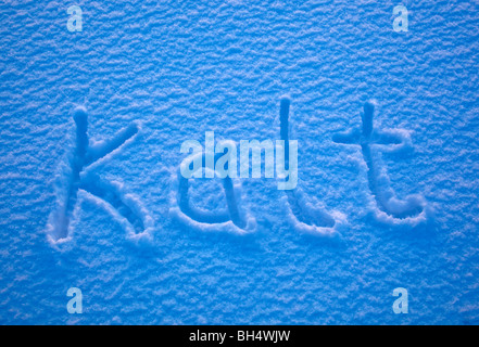 La parola tedesca per il freddo - Kalt - enunciato nella neve. Foto Stock