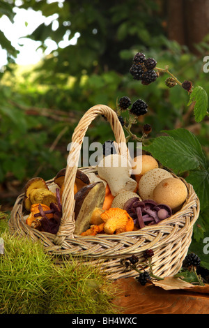 Piccolo cestino di funghi selvatici circondato dai rovi, more, dolce foglie di castagno e frutta. Foto Stock