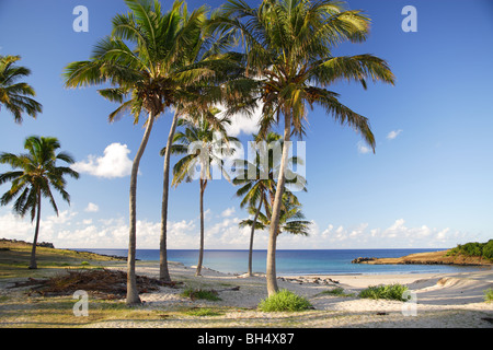 Spiaggia di Anakena sull'Isola di Pasqua, Cile Foto Stock