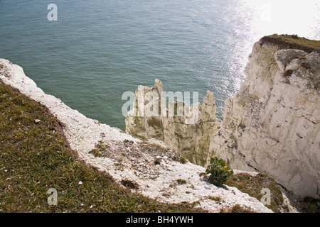 Bianche scogliere lungo la costa di Dover. Foto Stock