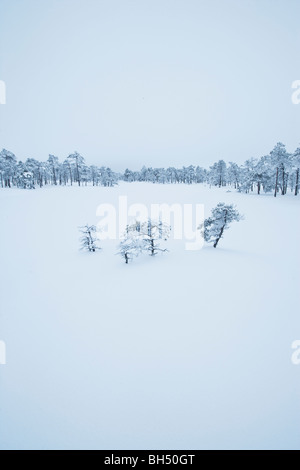 Congelati bog piscina coperta di neve Foto Stock