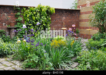 Perenni in un giardino nel cortile. design: martina breyer Foto Stock