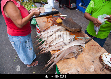 Venditore a vendere baby squali nel porto di Spagna Trinidad Foto Stock