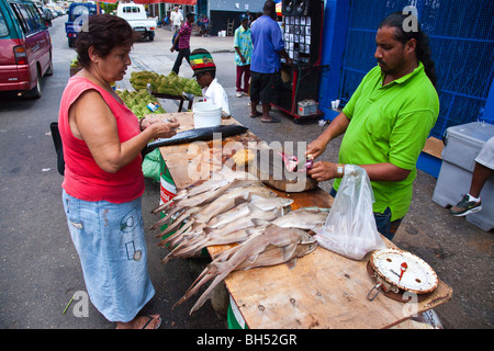 Venditore a vendere baby squali nel porto di Spagna Trinidad Foto Stock