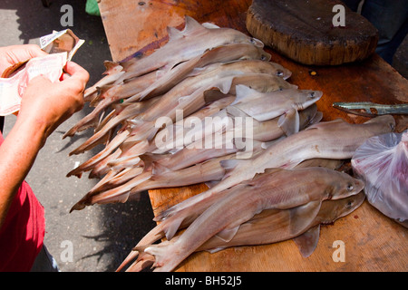 Baby squali in un mercato del pesce nel porto di Spagna Trinidad Foto Stock