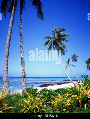 "Ritorno al Paradiso" Lefaga Beach, Isola Upolu, Samoa Foto Stock