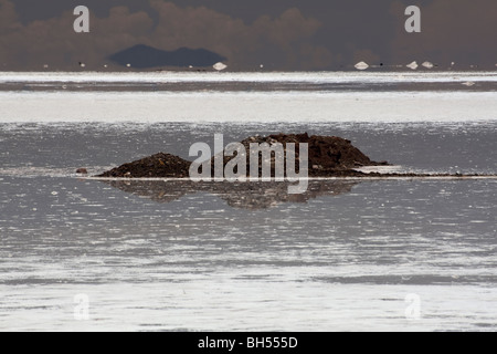 Salinas Grande, Route 52, provincia di Jujuy, Argentina Foto Stock