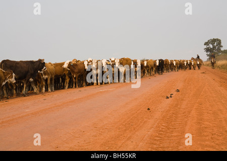 Gauchos sul loro modo da Carlon Pellegrini alla Mercedes, Argentina, Sud America Foto Stock