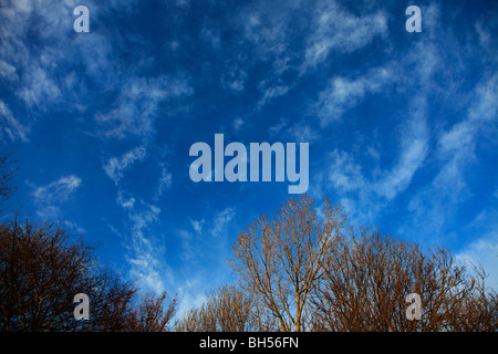 White Wispy Cirrus alto nuvole profondo cielo blu Foto Stock