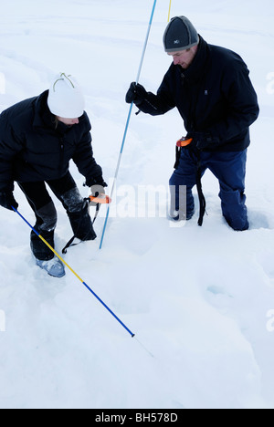 Ricerca in valanga & formazione di salvataggio con valanga e sonde di neve Foto Stock