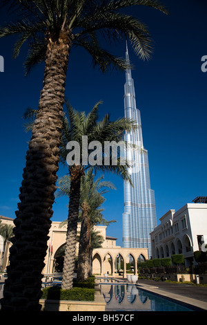 Angolo drammatico Burj Khalifa edificio palme sede2 Foto Stock