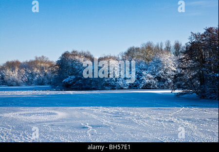 La congelati acque di un piccolo lago noto come Liden Lagoon a Swindon, Wiltshire, Inghilterra, Regno Unito adottate nel gennaio 2010 Foto Stock