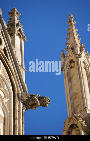 Gargoyle su York Minster Abbey Regno Unito Foto Stock