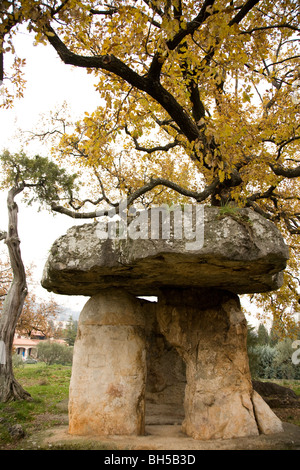 Dolmen Pierre de la tassa in Draguignan, Provenza, Francia. Questo è il solo vero dolmen in Provenza e risale al 2500 A.C. Foto Stock